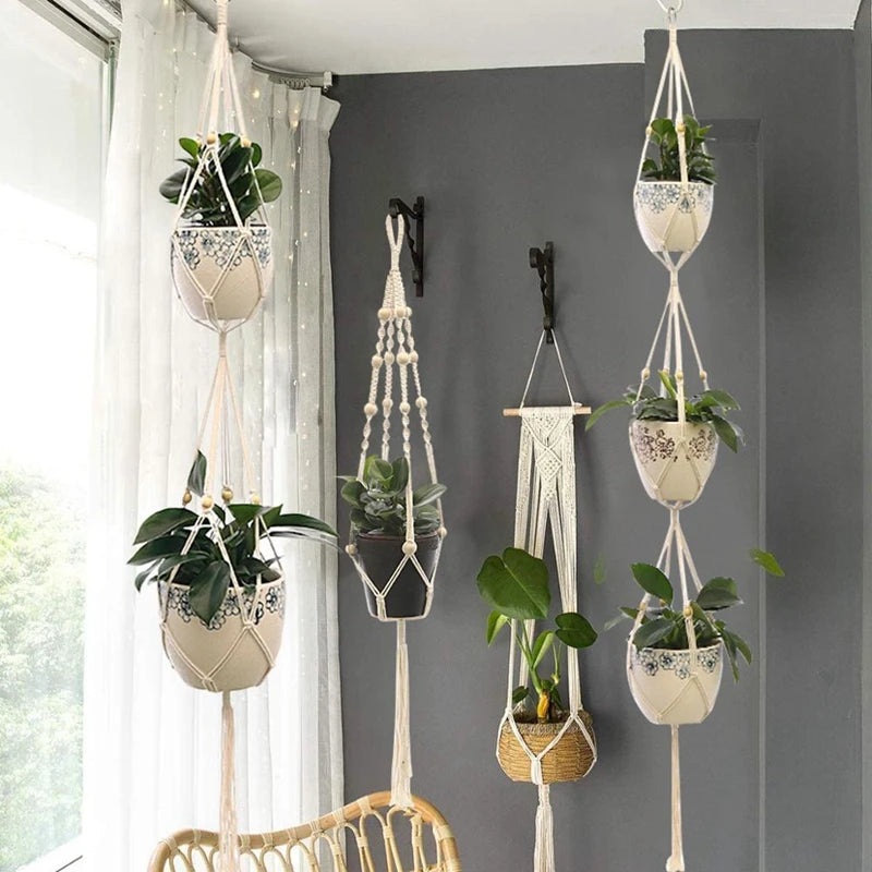 Hanging planter basket set with beautiful plants, perfect for home decor and indoor gardening